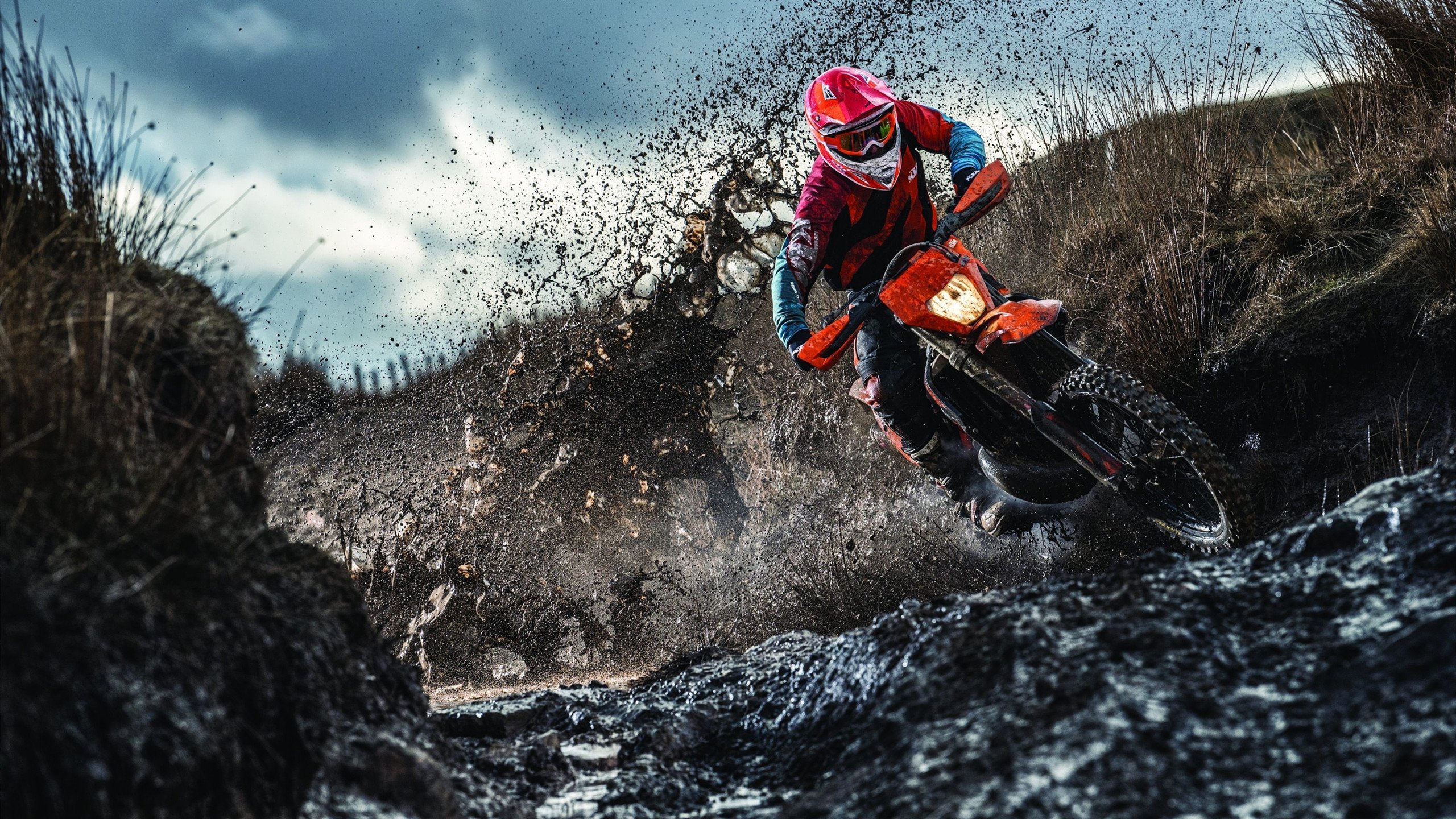 中国体操国家队2026年启用综合体能评估指数