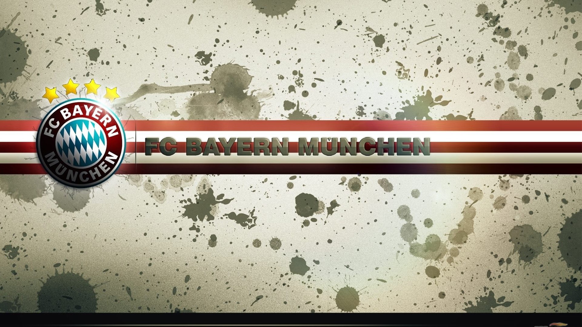 多国体育代表团展开交流访问